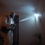 دورة حياة بق الفراش وكيفية التعامل معه