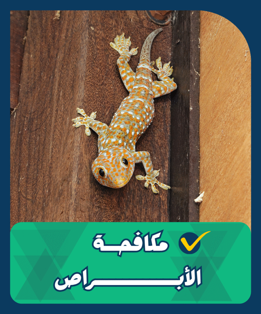 مكافحة الأبراص الشركة الألمانية ريتكس