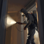 شركة مكافحة صراصير في قليوب