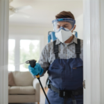 شركة مكافحة حشرات في الورديان الجديدة