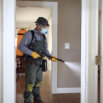 شركة مكافحة حشرات في مارينا