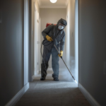 رقم شركة مكافحة حشرات في العباسية